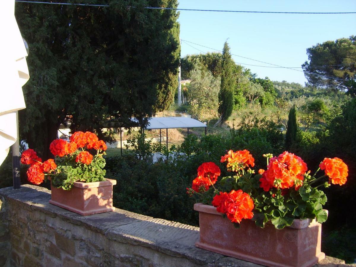 Casa Podere San Firenze San Firenze - Fonte Di Sala Zewnętrze zdjęcie